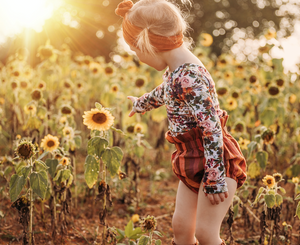 Harvest Stripe Bloomers